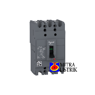 Schneider EZC100F 3P 100A 10KA