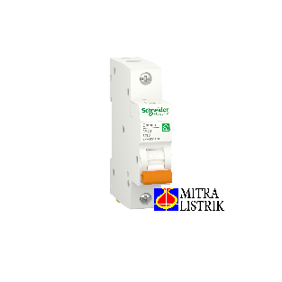 MCB Miniature circuit breaker, Domae, 1P, 10 A, C Curve, 6000 A